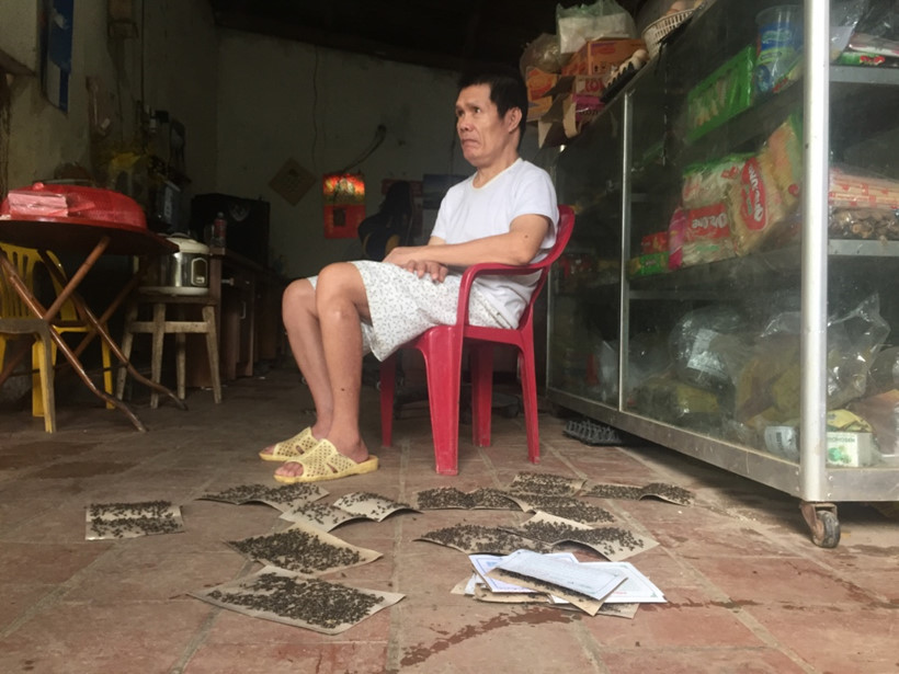 [-]Kinh[-]ho&agrave;ng[-]ruồi[-]từ[-]b&atilde;i[-]r&aacute;c[-]Nam[-]Sơn[-]"tấn[-]c&ocirc;ng"[-]nh&agrave;[-]d&acirc;n